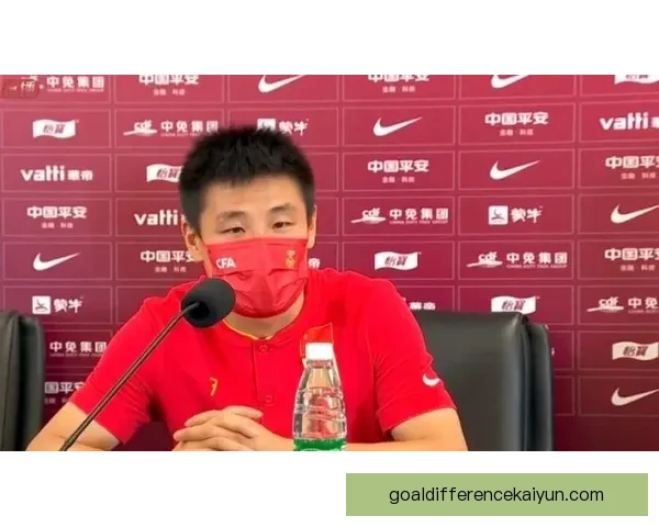 爱尔兰球迷歌声助威球队 本届赛事氛围持续升温